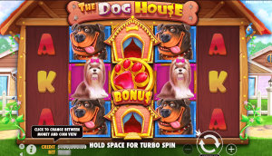 Rahasia Scatter Dan Bonus Anjing Dari The Dog House OLE777