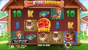 The Dog House Rumah Anjing Gacor Favorit Dan Populer 2025